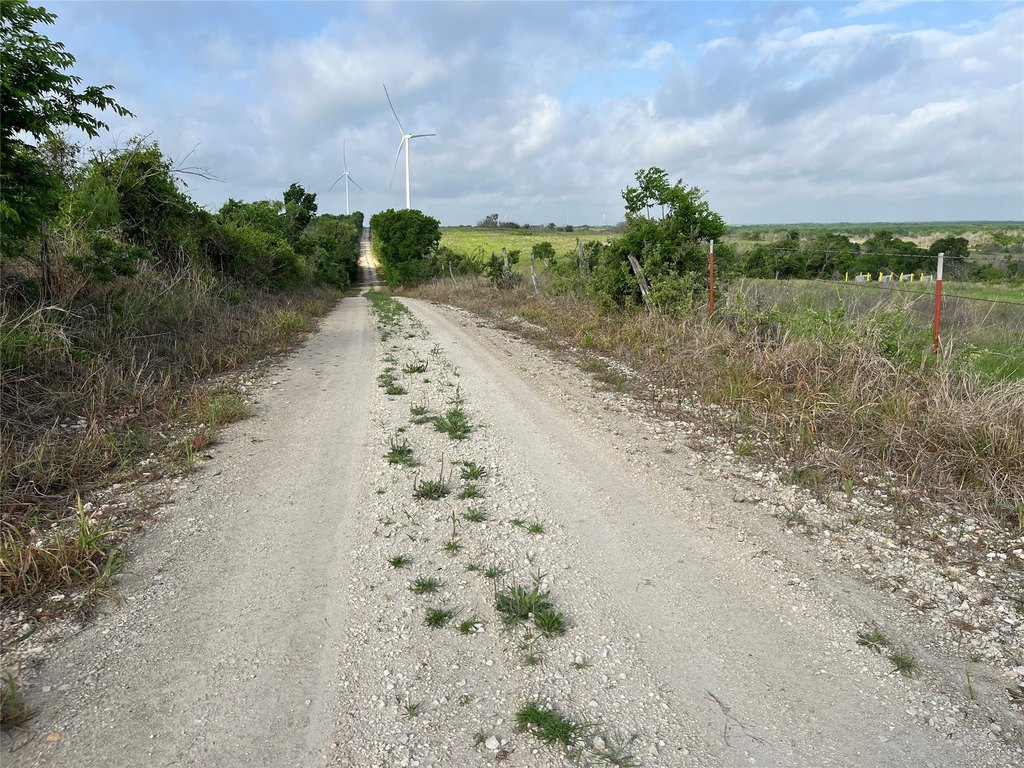 Picture 33