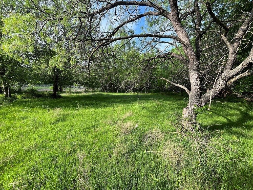 Picture 13