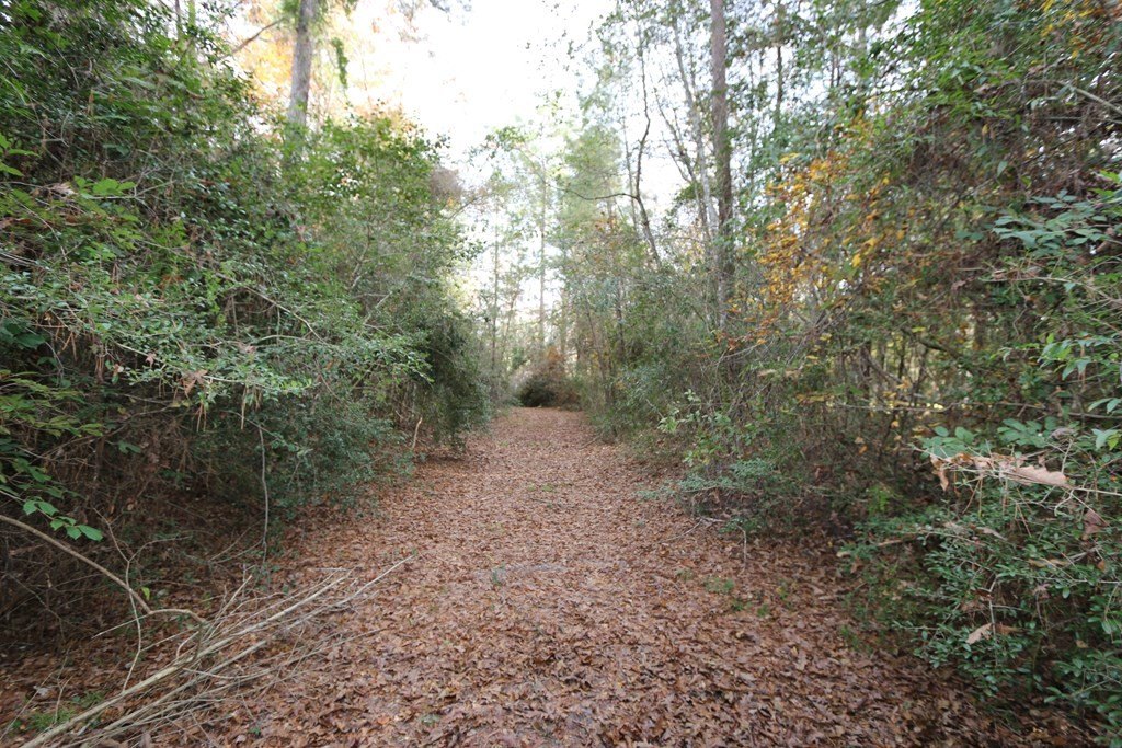 Picture 14