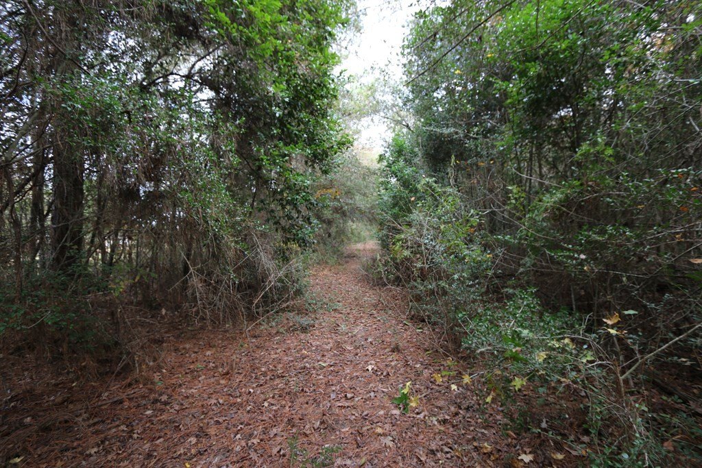 Picture 7