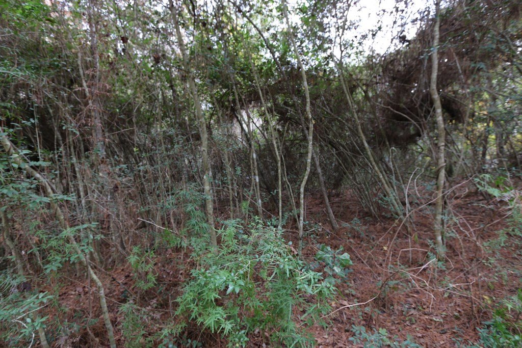 Picture 13
