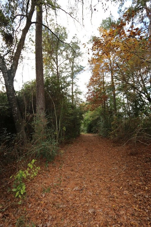 Picture 8