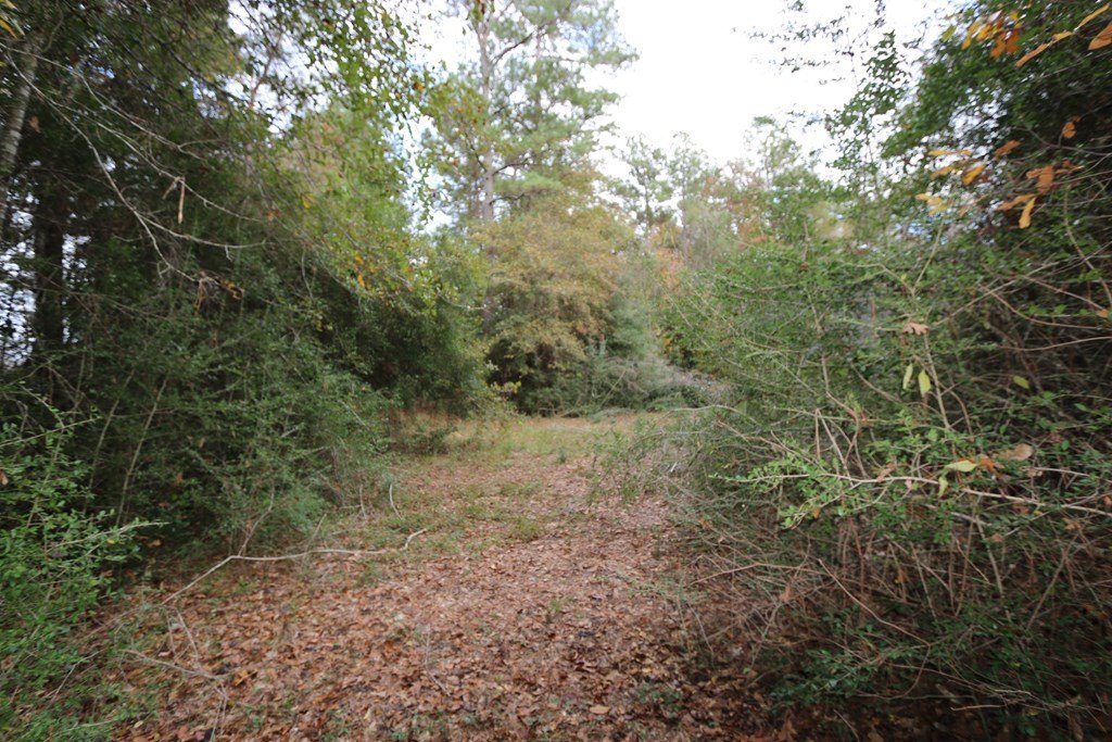Picture 9