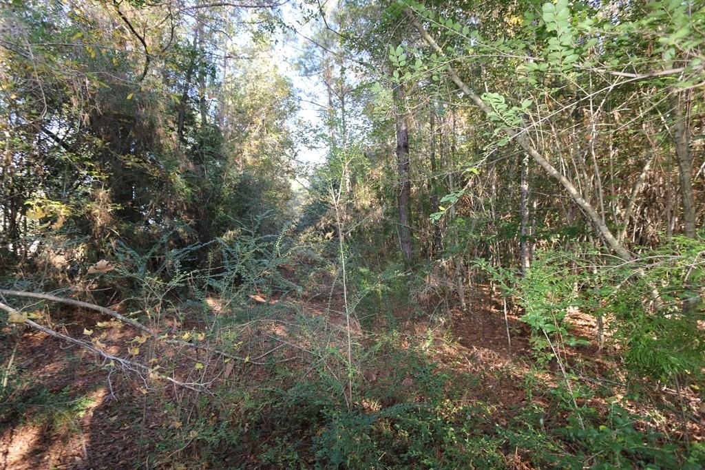 Picture 17