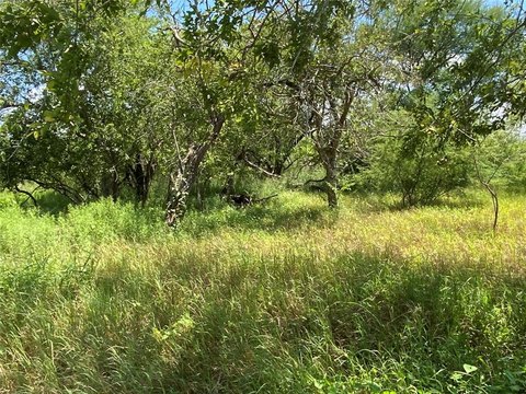 Unrestricted Land in Booming South Texas