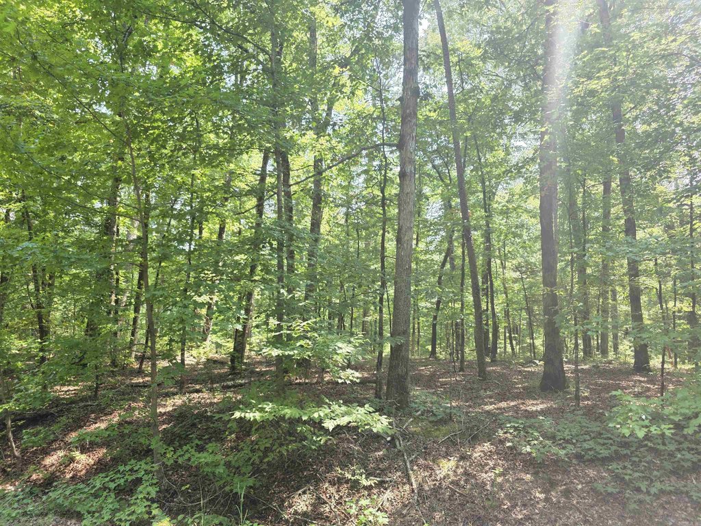 Picture 5