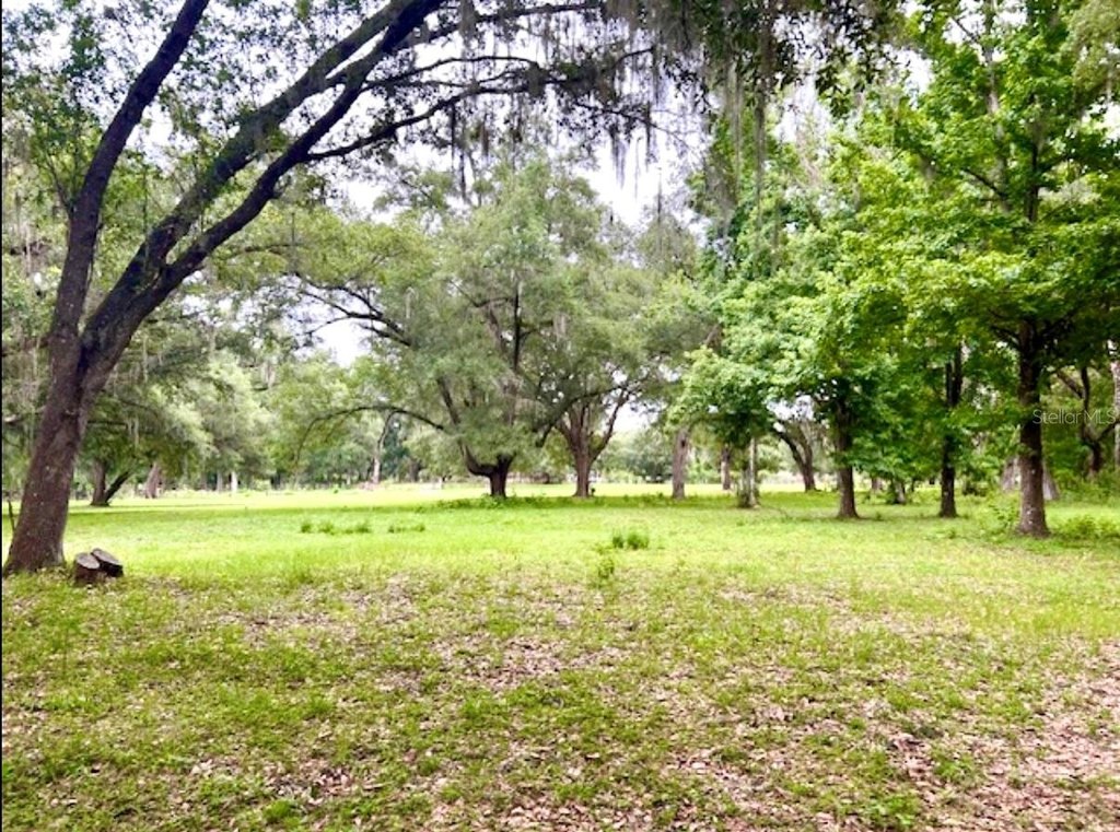 Picture 17