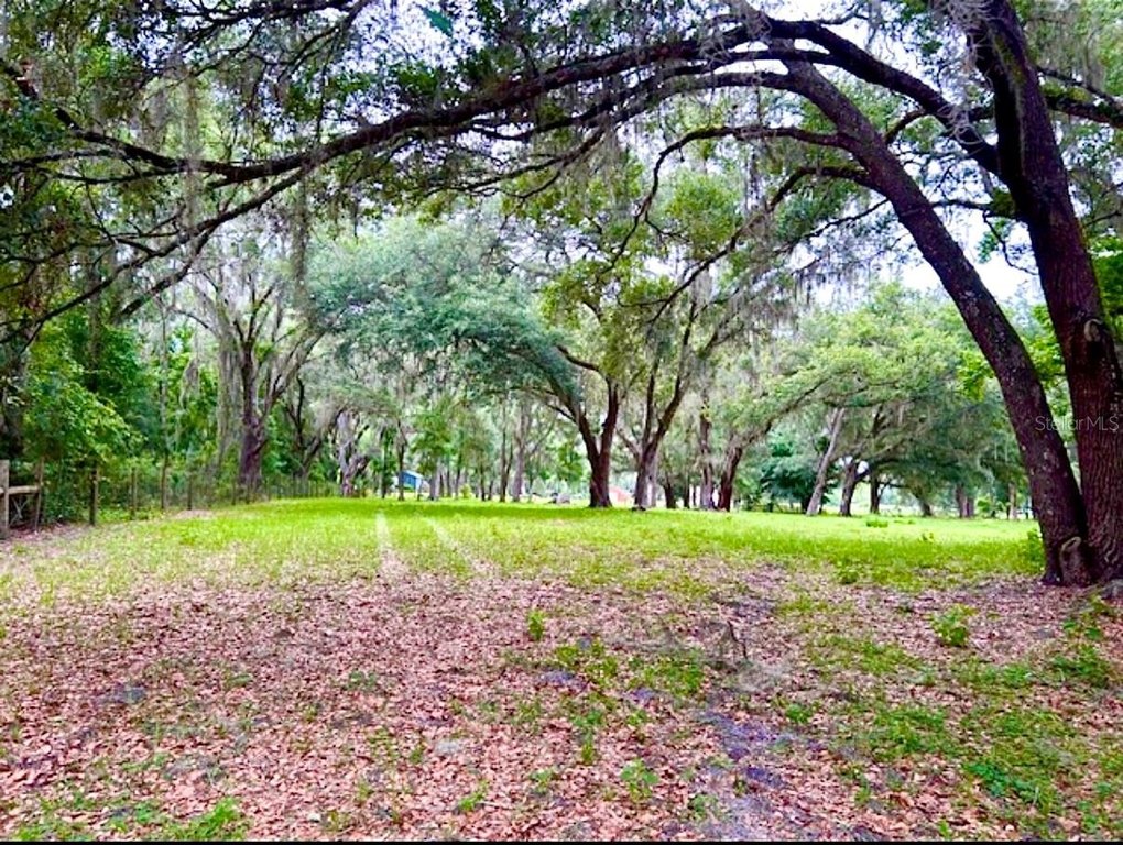 Picture 16