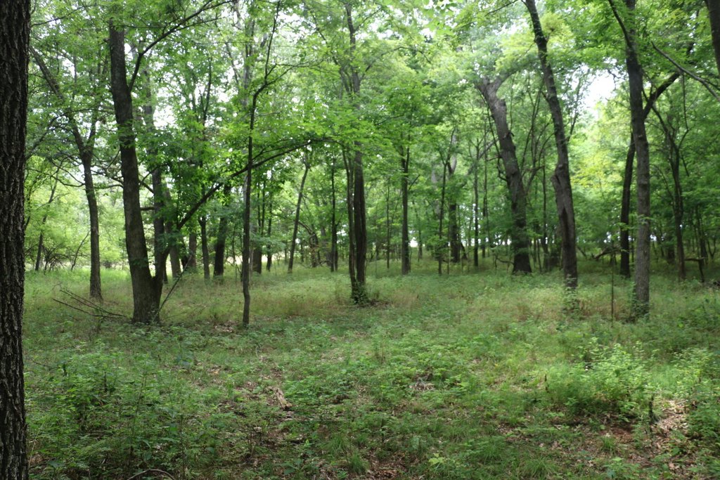 Picture 20