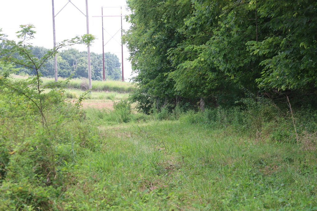 Picture 14