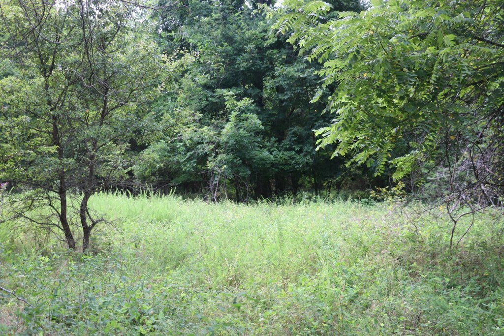 Picture 18