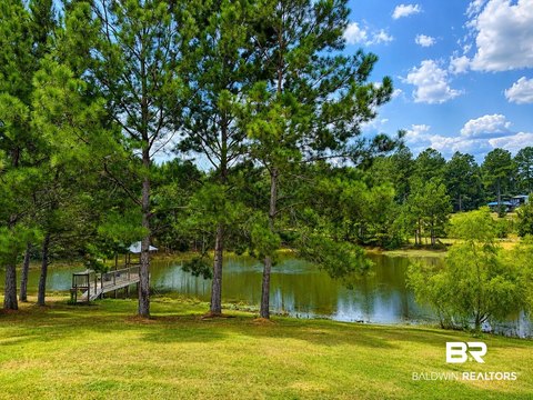 Equestrian Property with Lighted Arena
