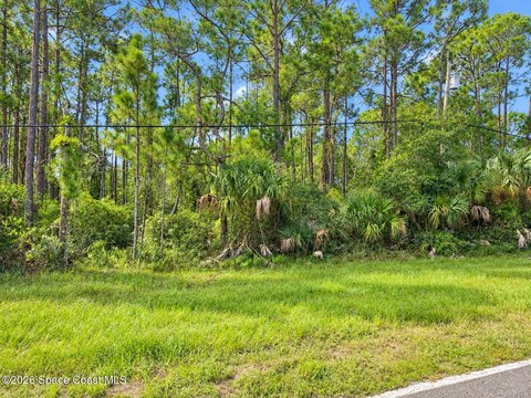 Land, Titusville, FL