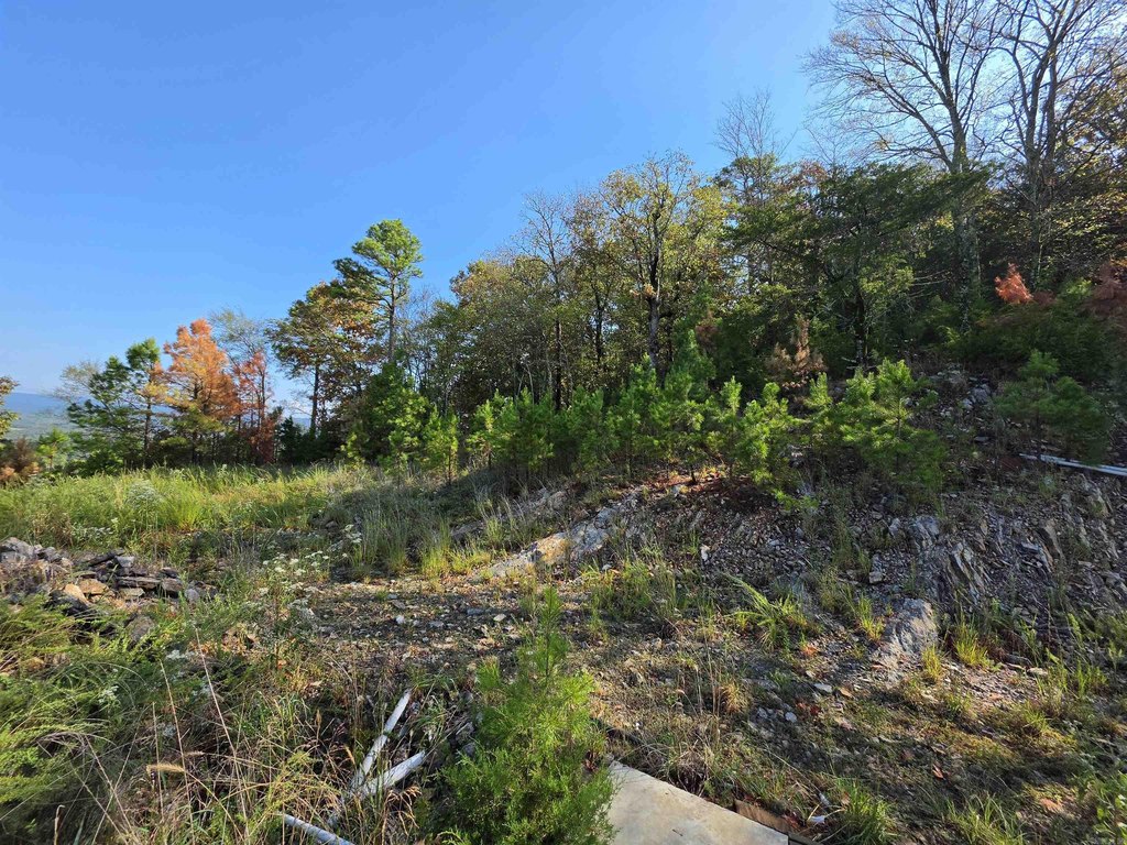 Picture 8