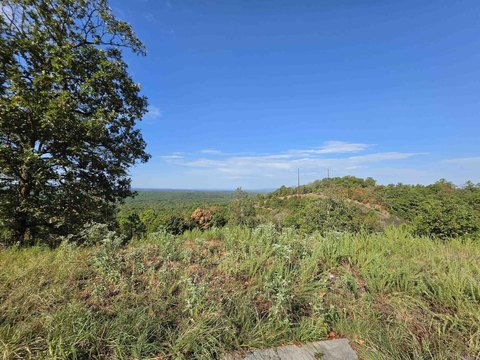 Vacant Land, Mena, AR