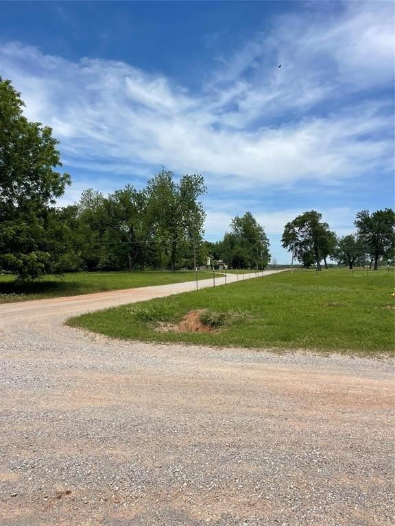 Picture 3