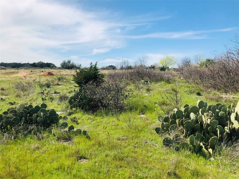 Golf Course Lot with Views