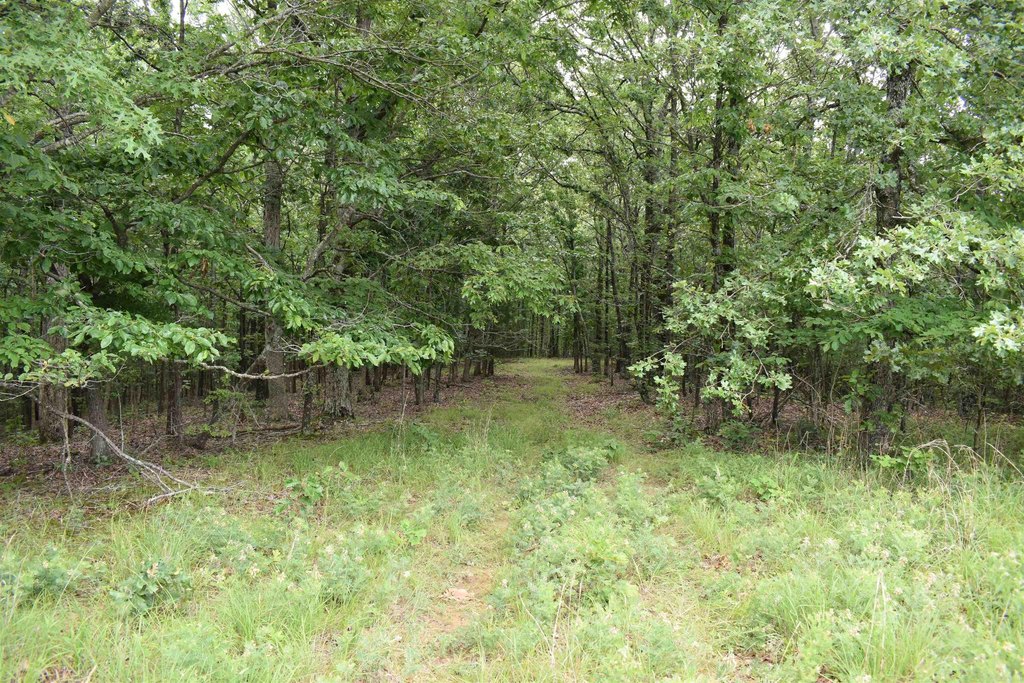 Picture 38