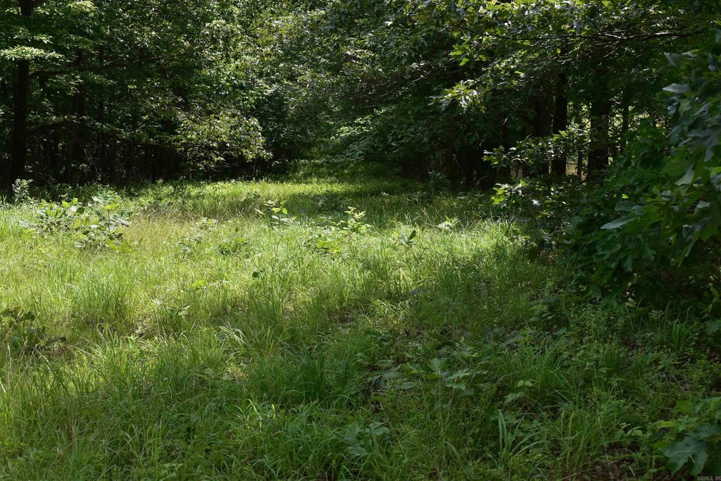 Picture 22