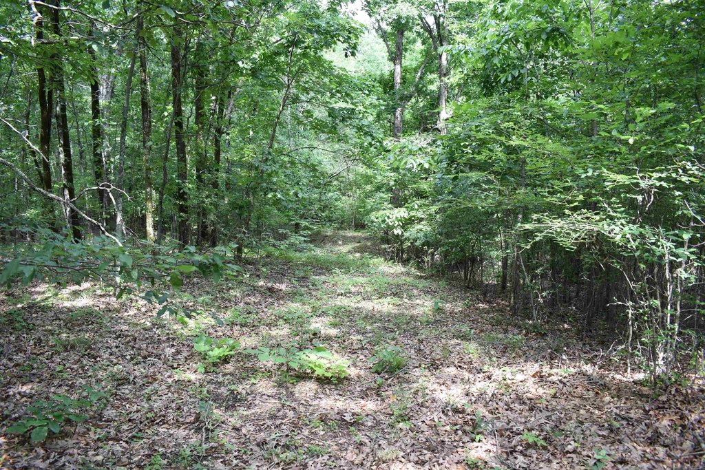 Picture 16
