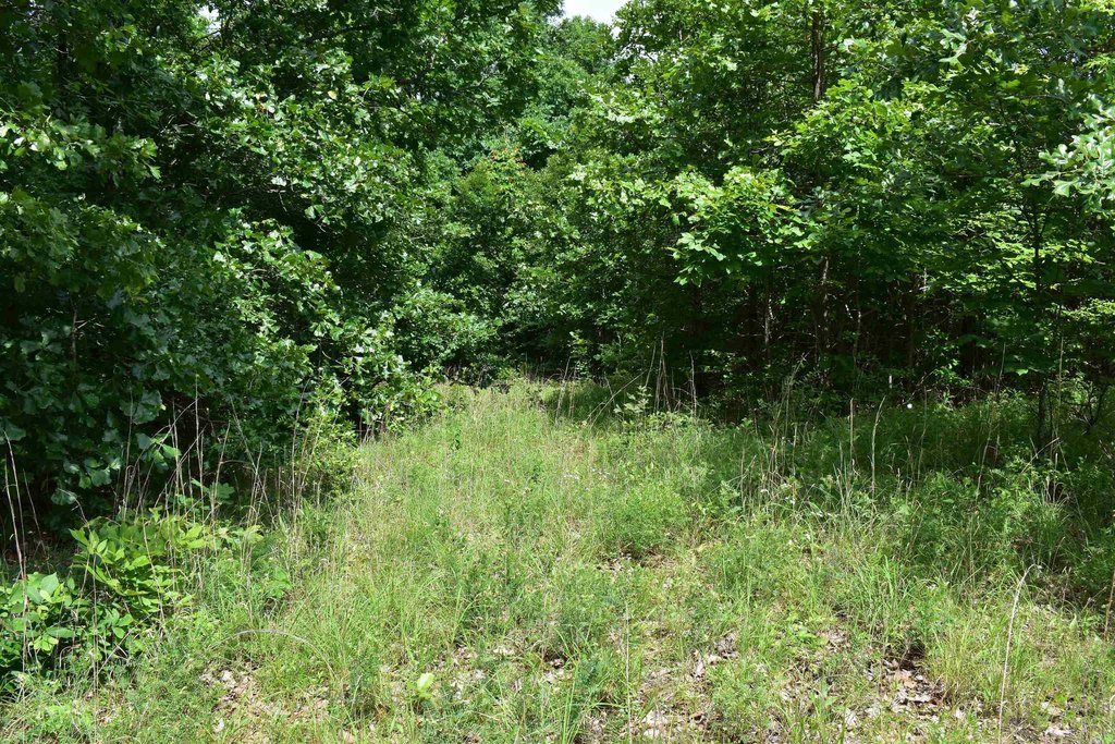 Picture 14