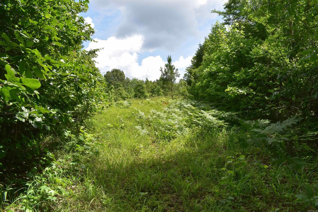 Picture 34