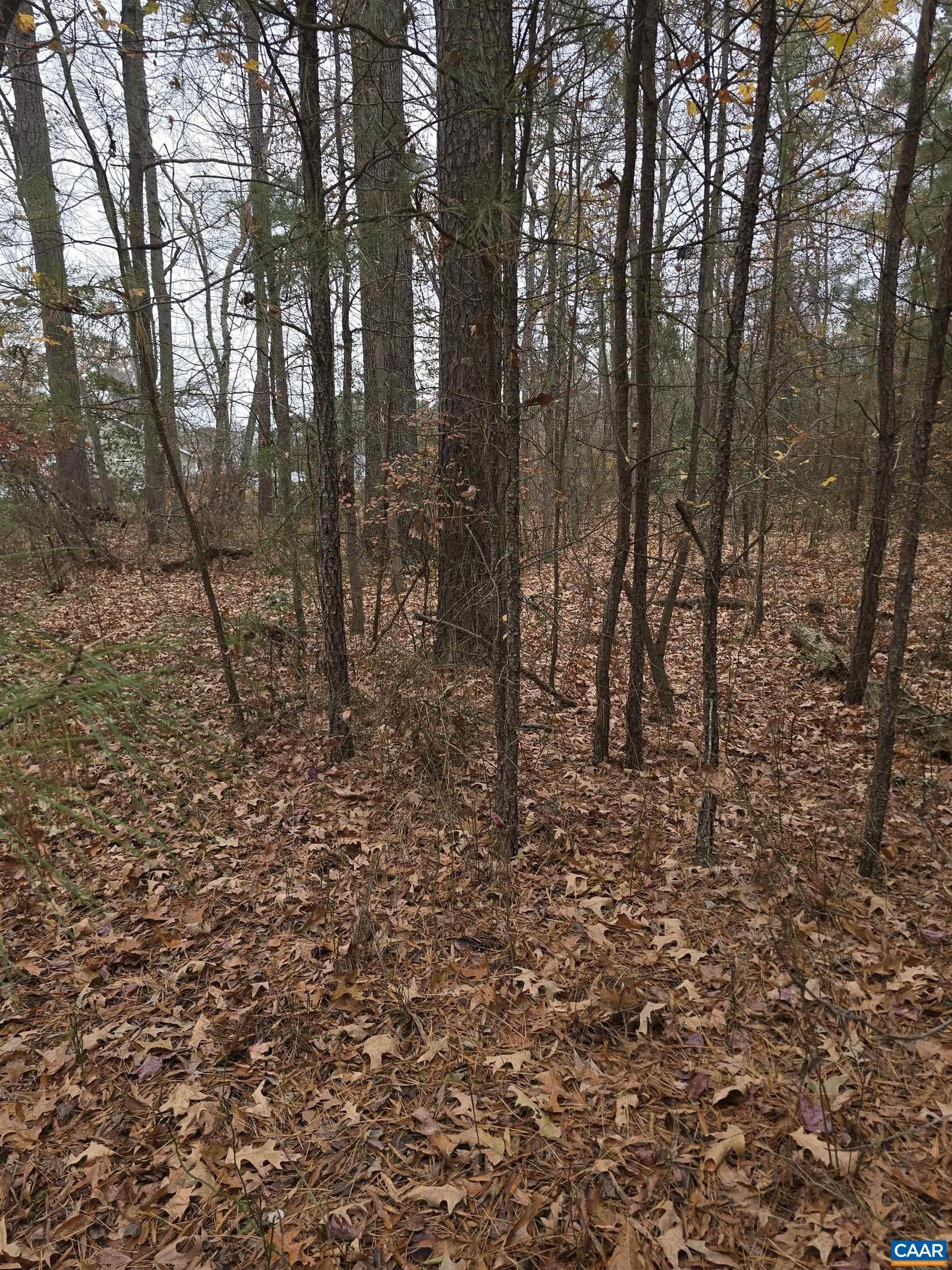 Residential Lot Near Colonial Beach