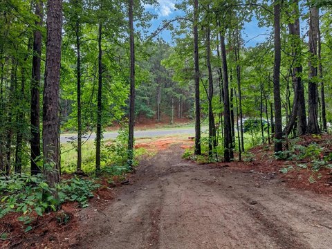 Tyler, TX Treed Land
