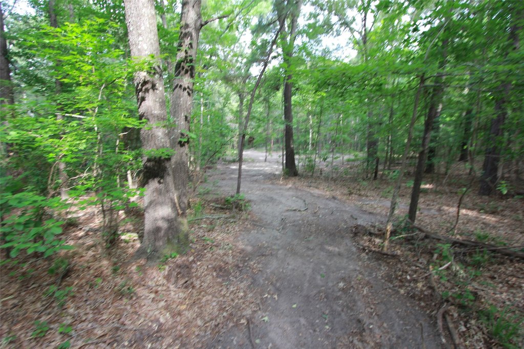 Picture 12
