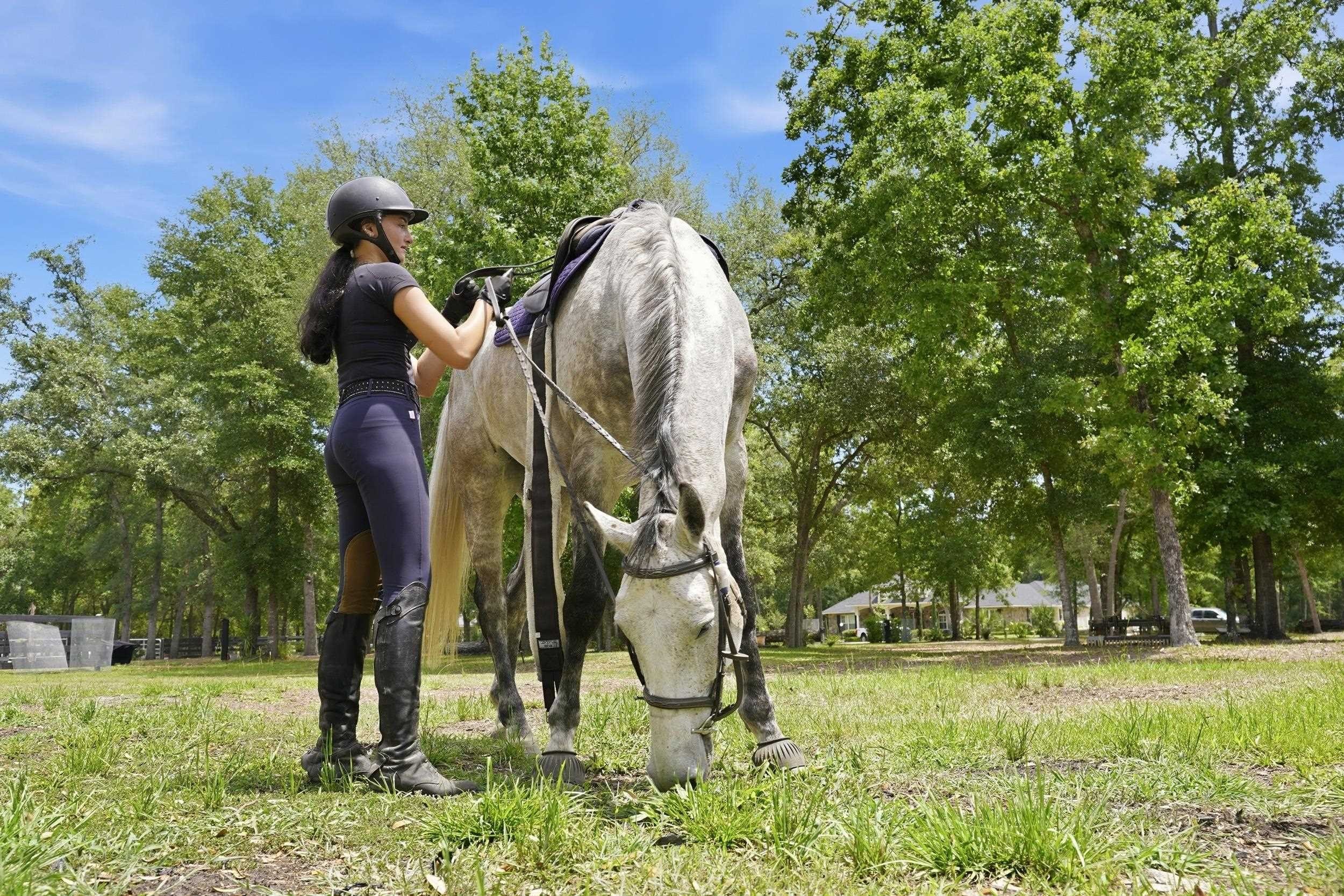 Equestrian Land in Gated Community