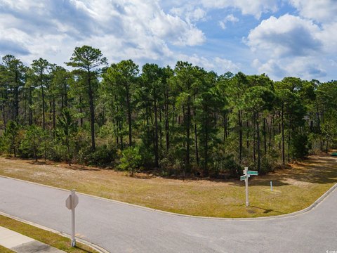 Wooded Corner Lot in Sago