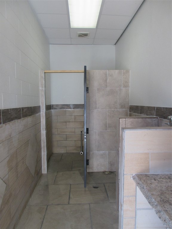 Picture 7