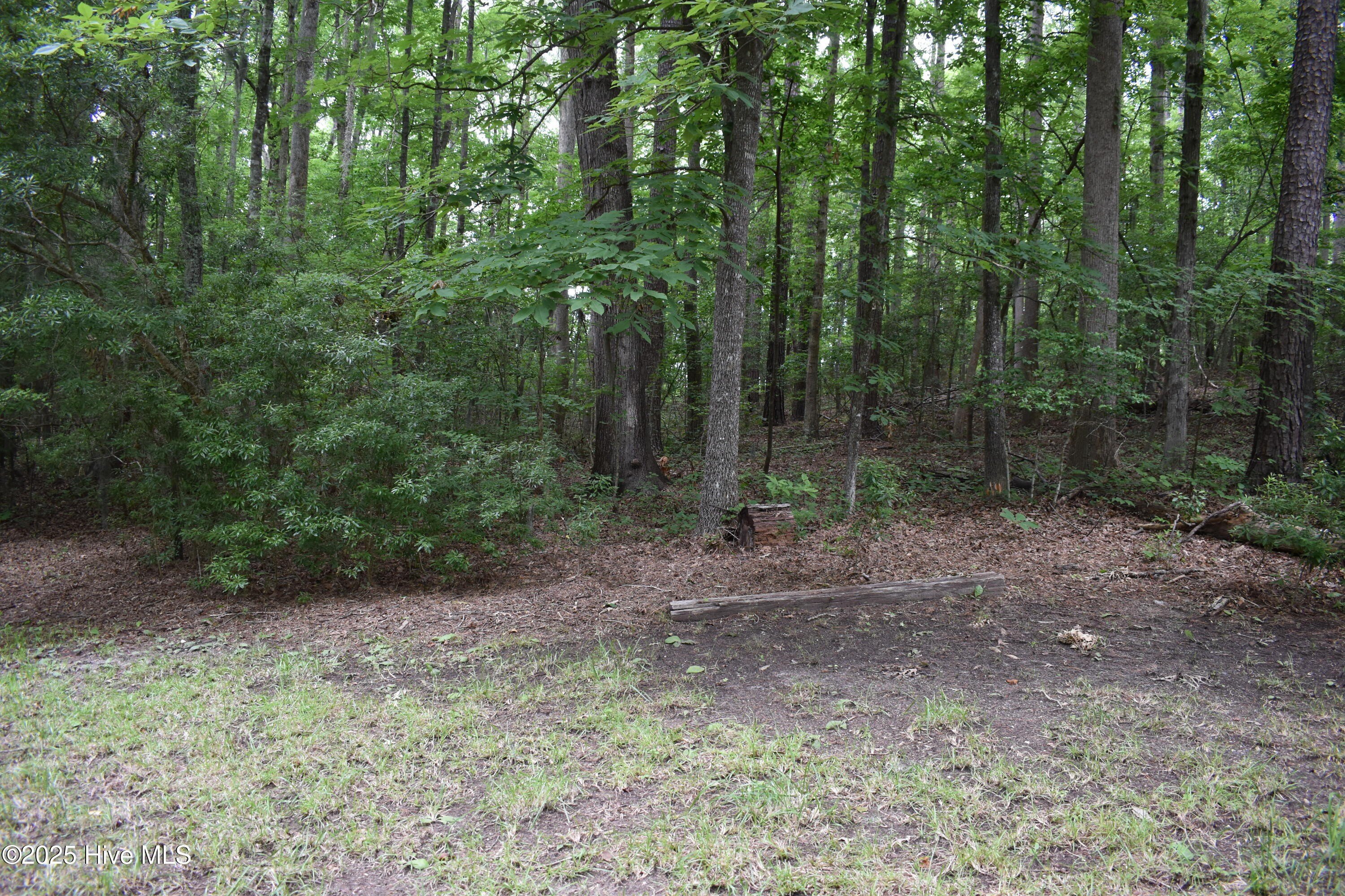 Creekfront Lot in Blounts Creek