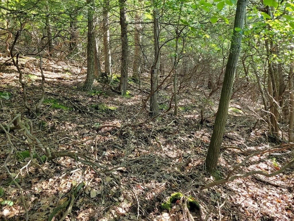 Residential Land in Claysburg, PA