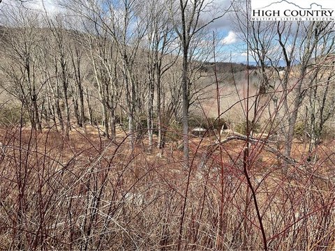 Mountain Lot with Approved Plans