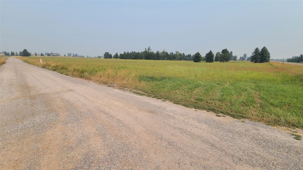 Picture 18