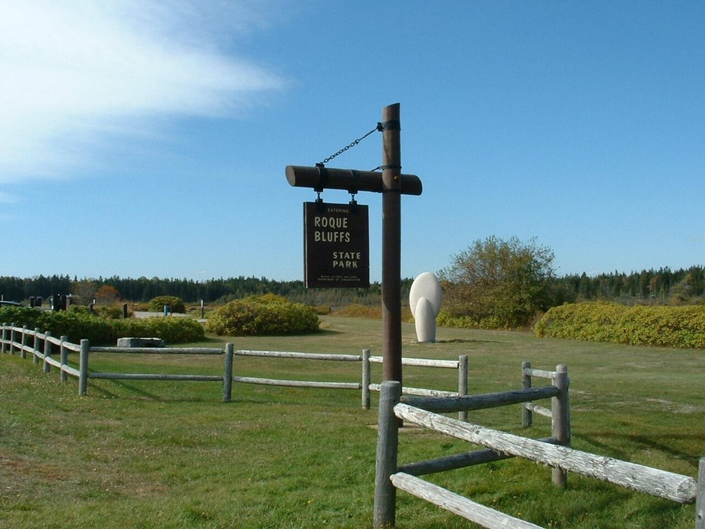 Picture 20
