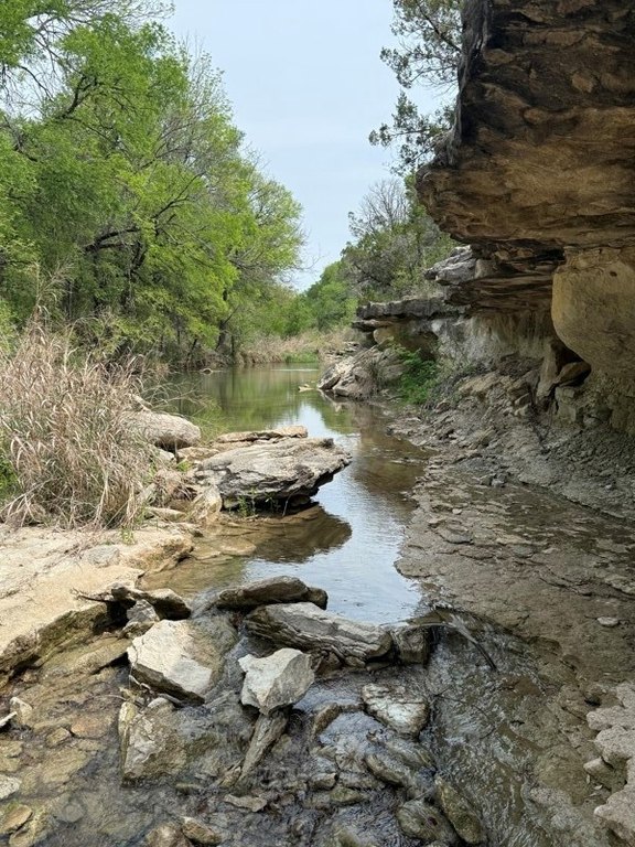 Picture 23
