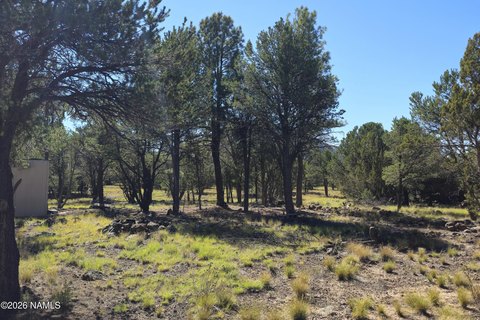 Land, Williams, AZ