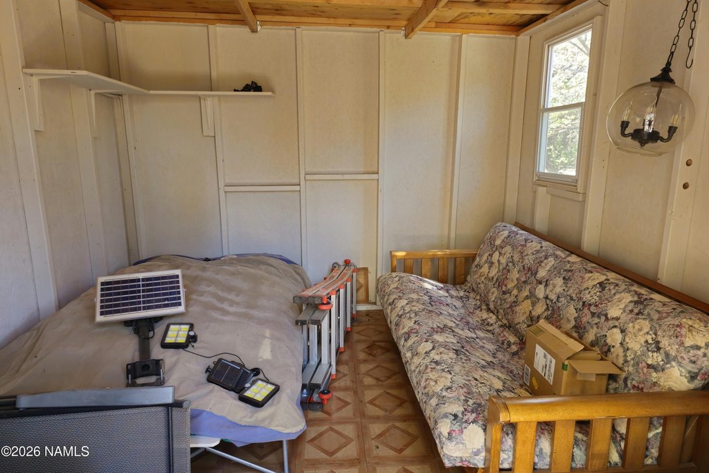 Picture 5