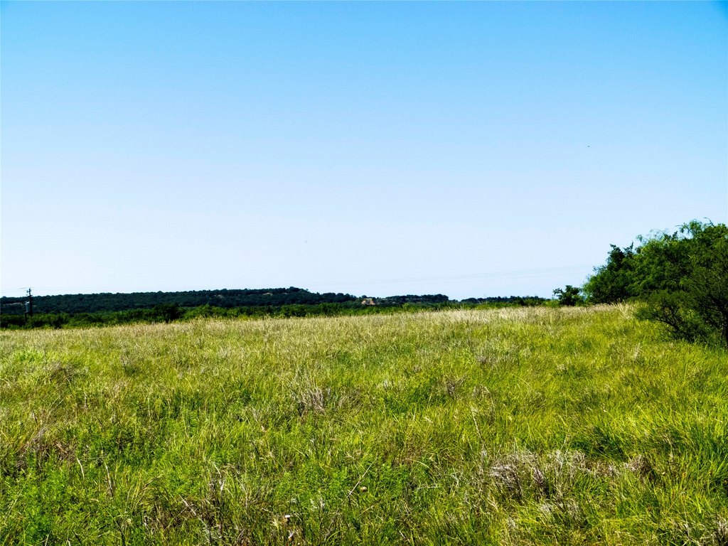 Picture 25