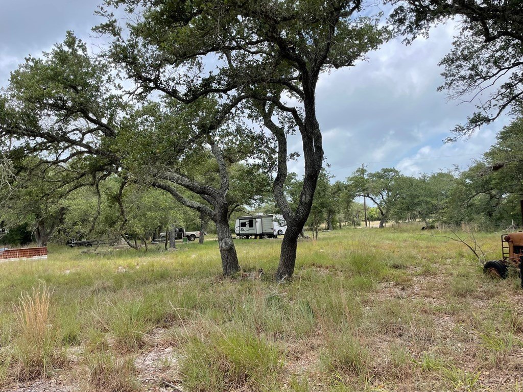Picture 18
