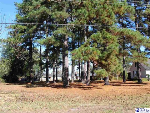 Land, Marion, SC