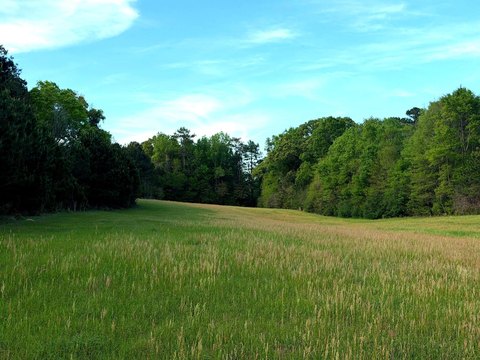 Lumberton Farm with Mature Oaks