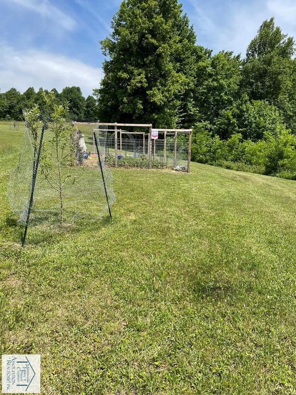 Picture 25