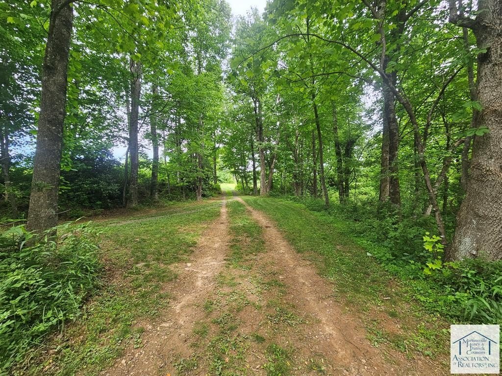 Picture 19