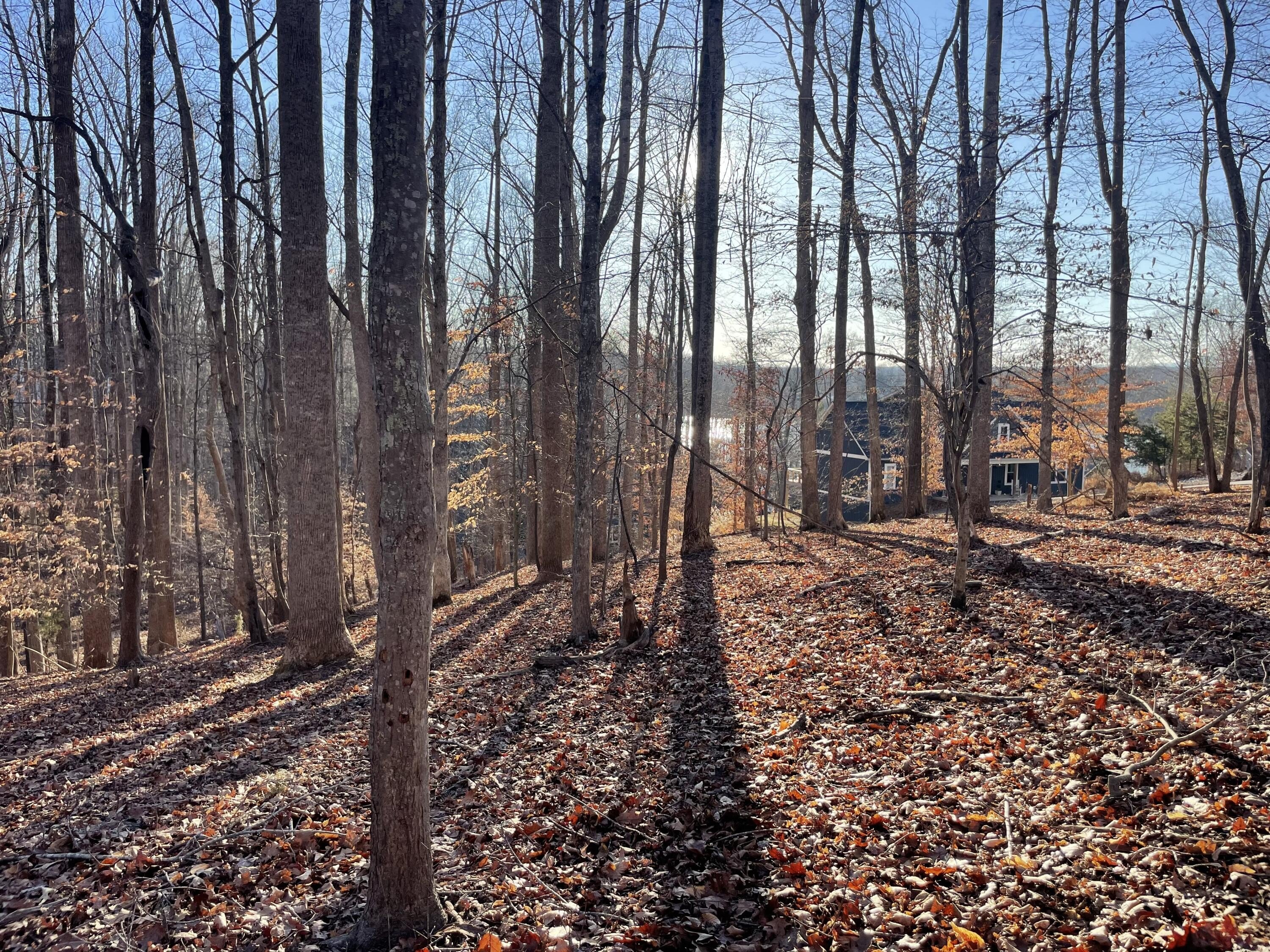 Residential Lot in Beechwood West