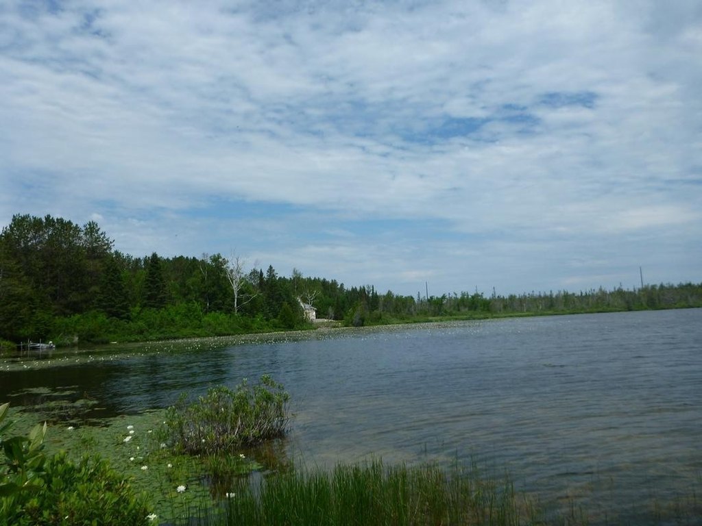 Picture 4