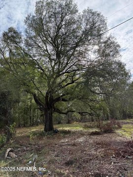 LAND - Starke, FL