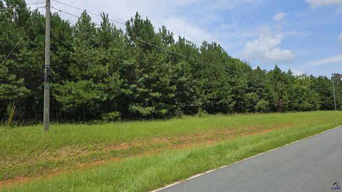 LAND - Hawkinsville, GA